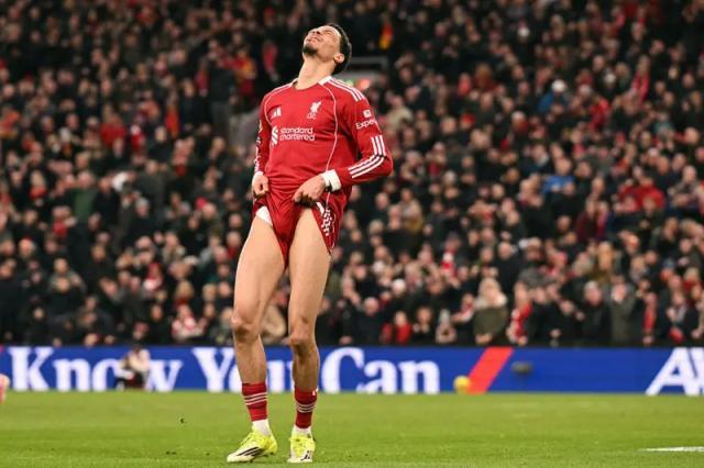 1768669444531073315.jpg 1768669436360.jpg